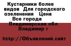 Кустарники более 100 видов. Для городского озеленения › Цена ­ 70 - Все города  »    . Владимирская обл.,Владимир г.